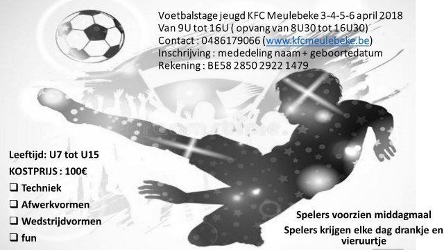 voetbal logo 2
